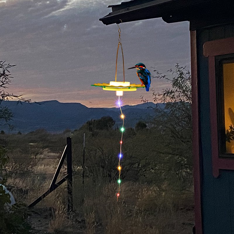 powered bird feeder lights